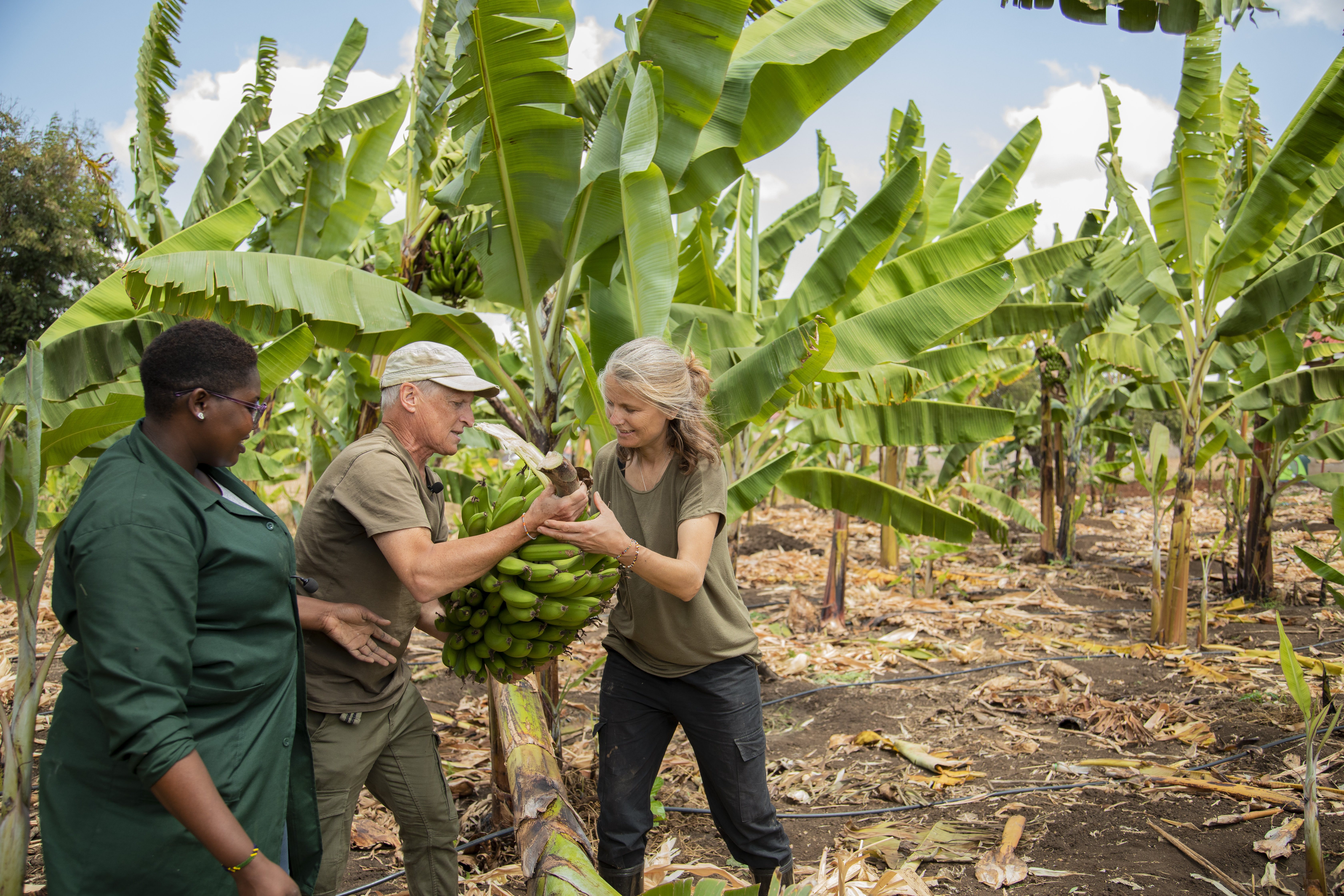 an outdoor patio and pool lit by lanterns at night