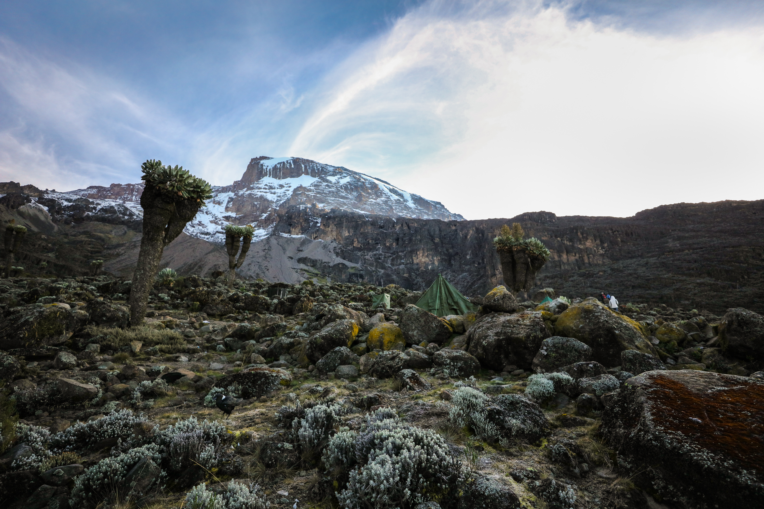 Thrilling Quest of Mount Meru